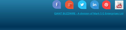 GIANT BUZZWIRE - A division of Mark S G Enterprises Ltd